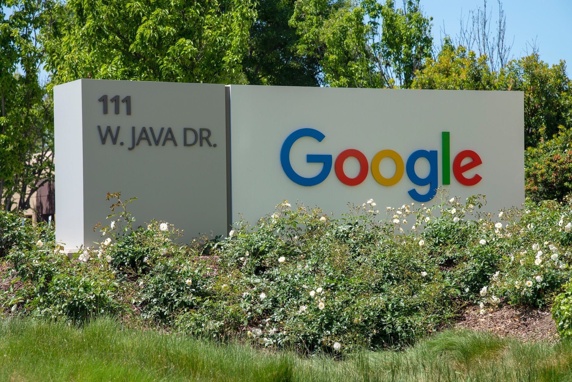 Photo of Google by Greg Bullah